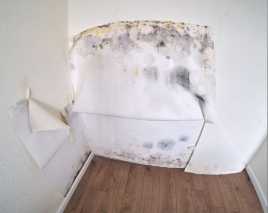 Before Image Wall Mold Removal Houston TX