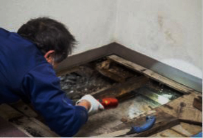 Crawl Space Mold Removal Houston TX