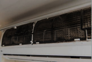 HVAC or Air Duct Mold Removal Houston TX